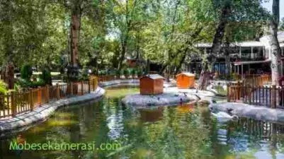 Seydişehir Kuğulu Park Canlı Yayın izle